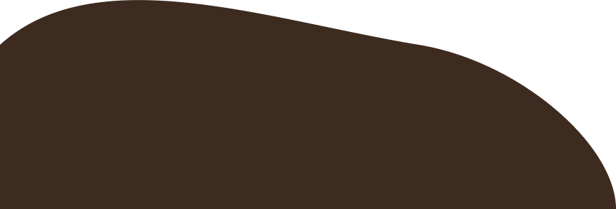 Main Banner caption